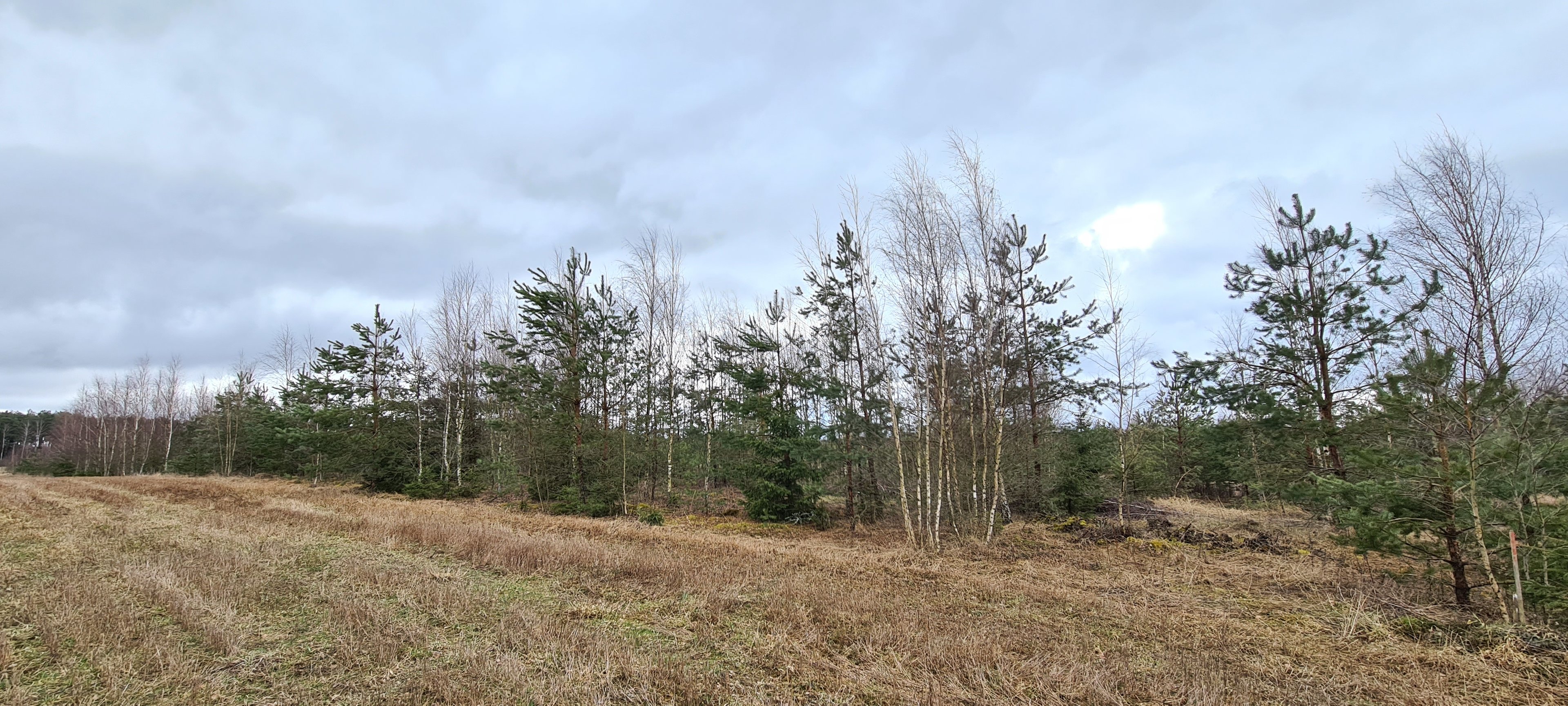 Sklypas Vilnius, Guobos – nuotrauka 6