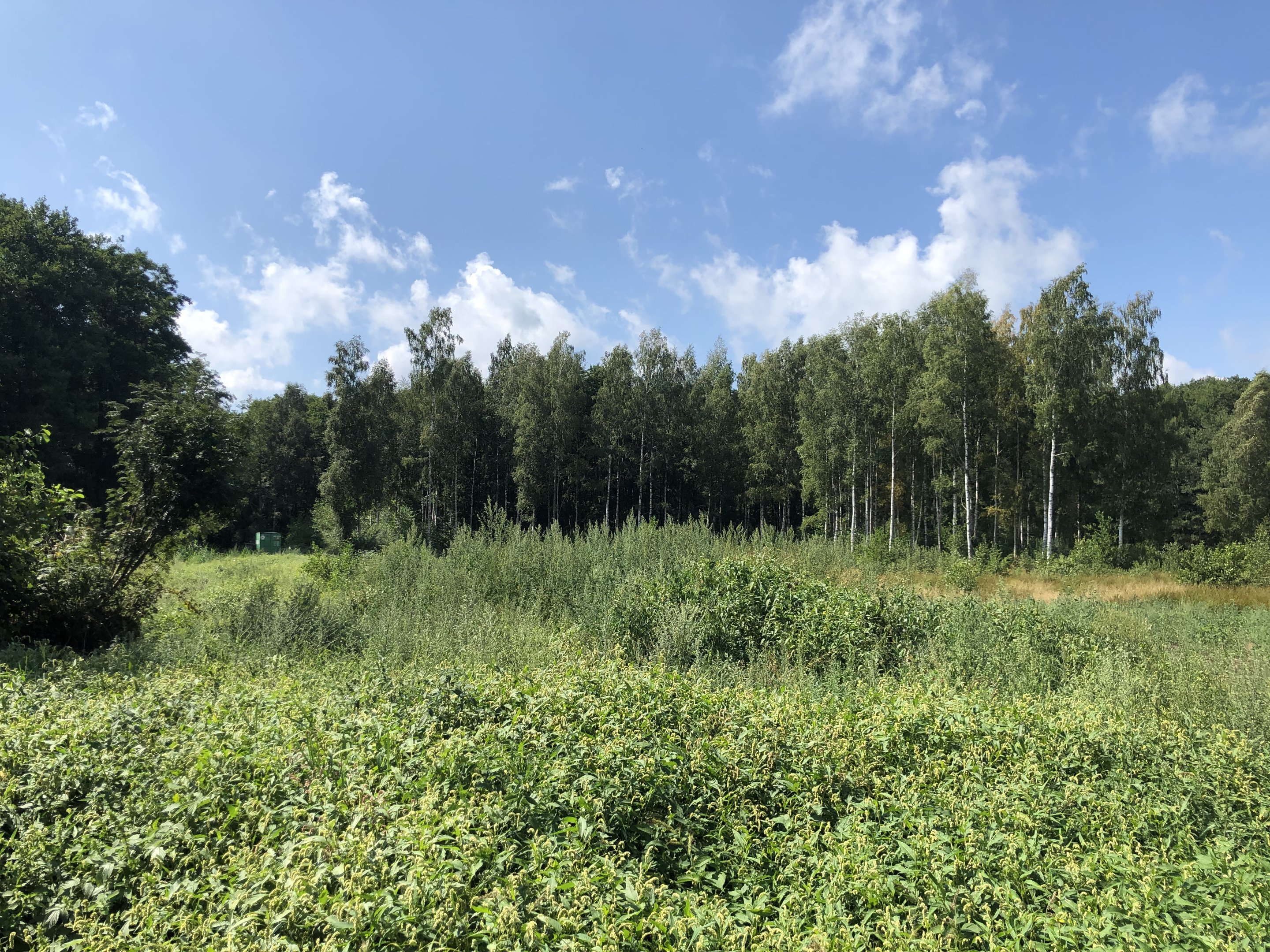 Участок Klaipėdos rajono sav., Karklėje – изображение 3