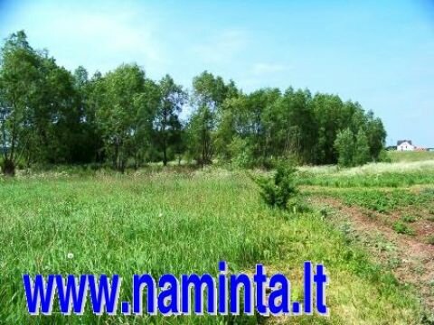 Участок Klaipėdos rajono sav., Kalotėje – изображение 2
