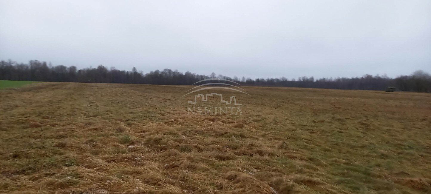 Sklypas Klaipėdos rajono sav., Pažvelsyje – nuotrauka 3