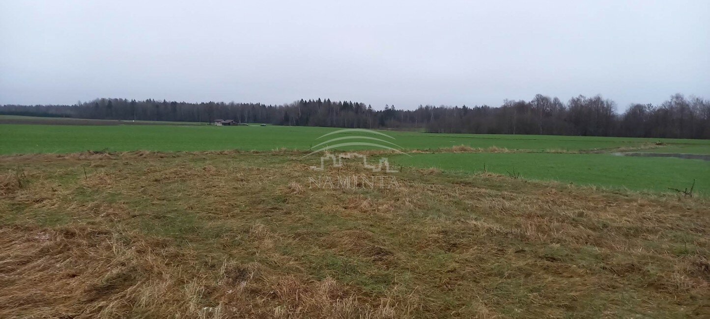 Sklypas Klaipėdos rajono sav., Pažvelsyje – nuotrauka 4