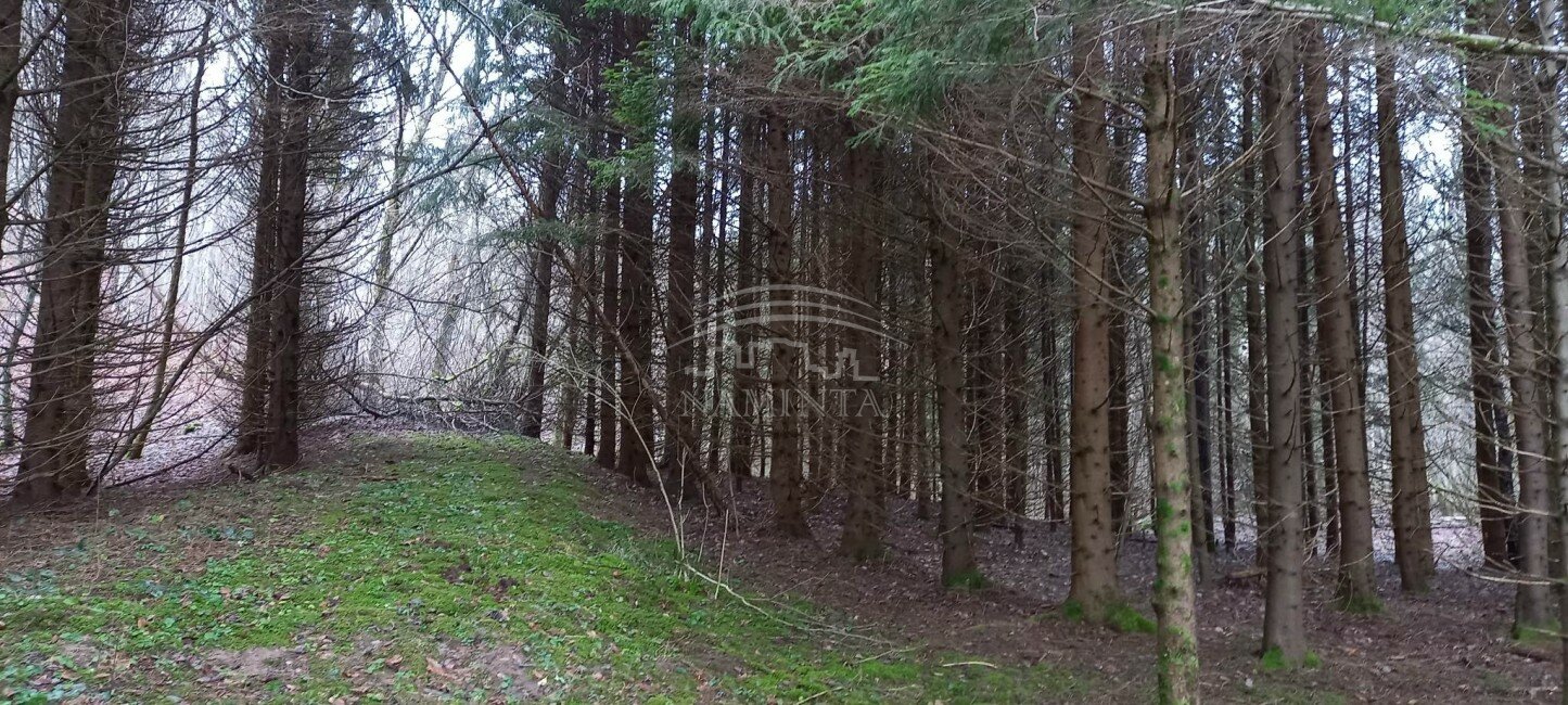 Sklypas Klaipėdos rajono sav., Pažvelsyje – nuotrauka 5
