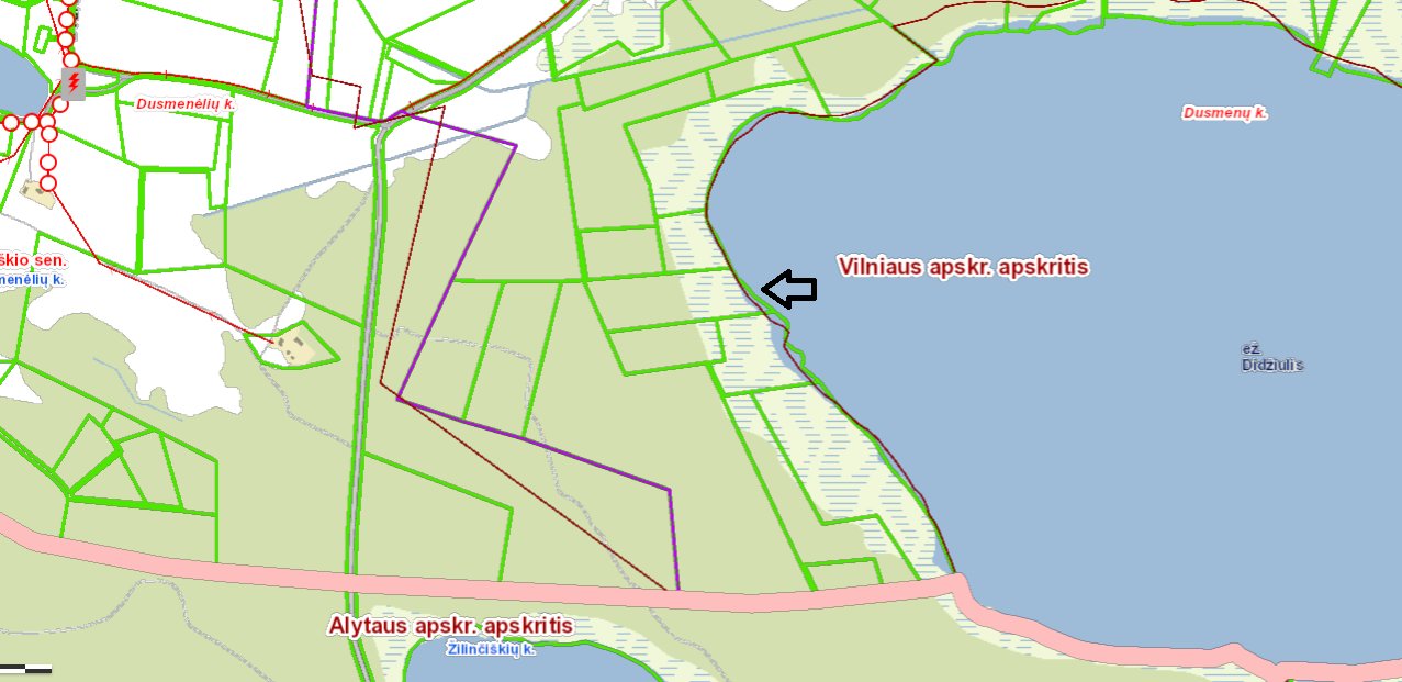 Sklypas Trakų rajono sav., Dusmenyse – nuotrauka 4