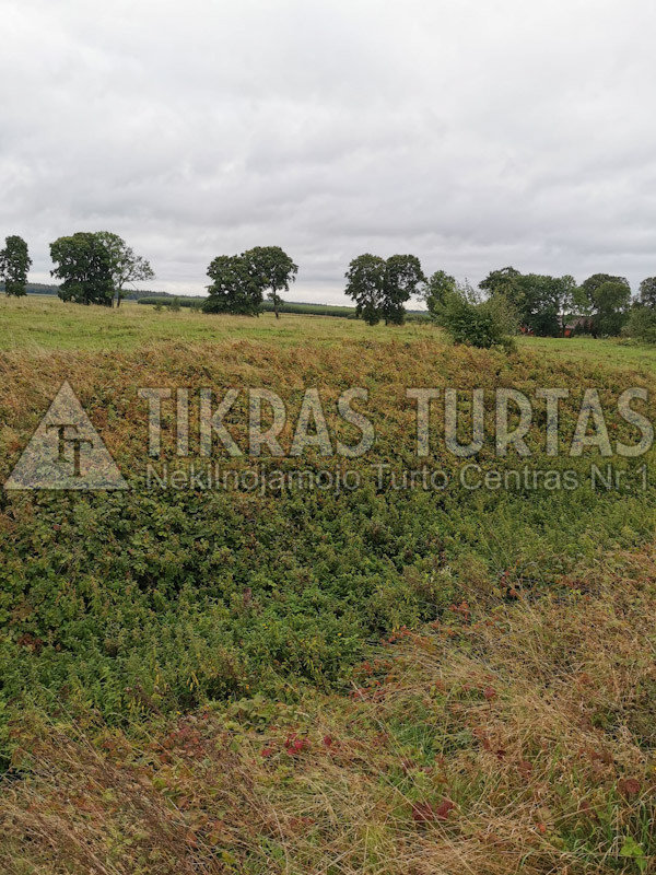 Sklypas Šilutės rajono sav., Bundaluose – nuotrauka 5