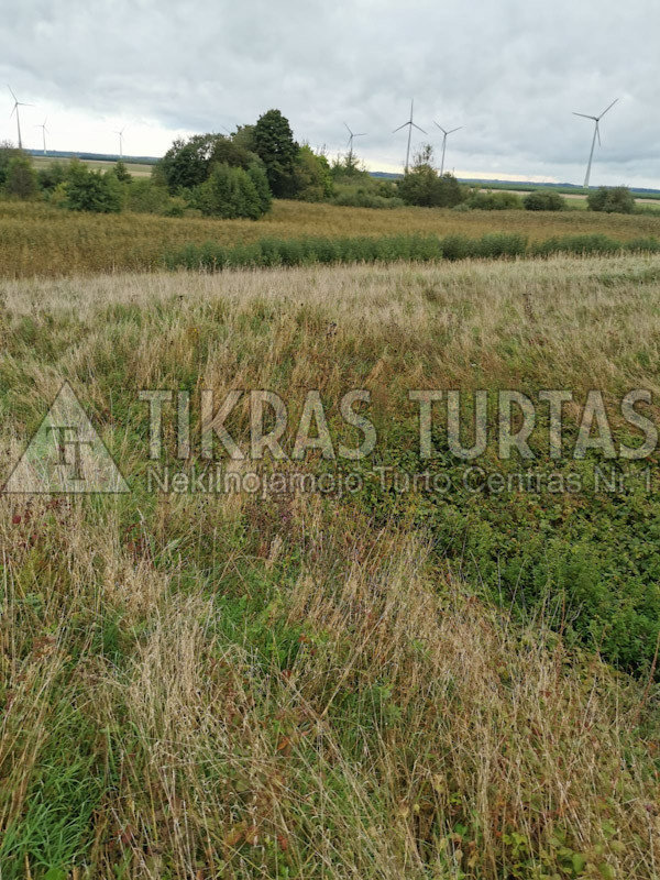 Sklypas Šilutės rajono sav., Bundaluose – nuotrauka 6