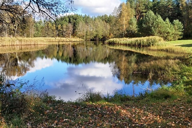 Sklypas Druskininkų sav., Kermušijoje, Kermušijos g. – nuotrauka 5