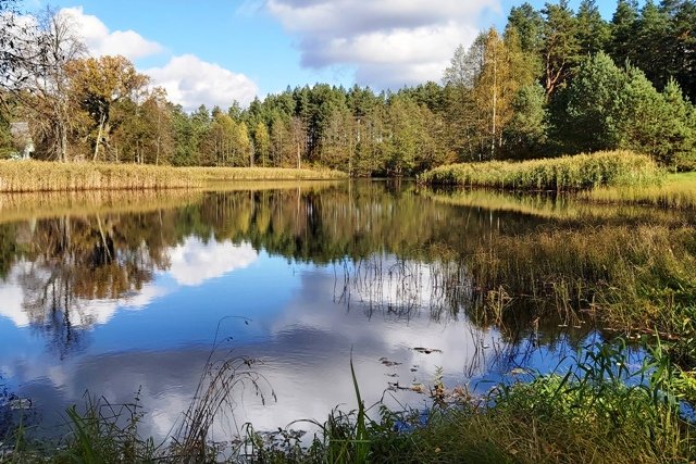 Sklypas Druskininkų sav., Kermušijoje, Kermušijos g. – nuotrauka 6