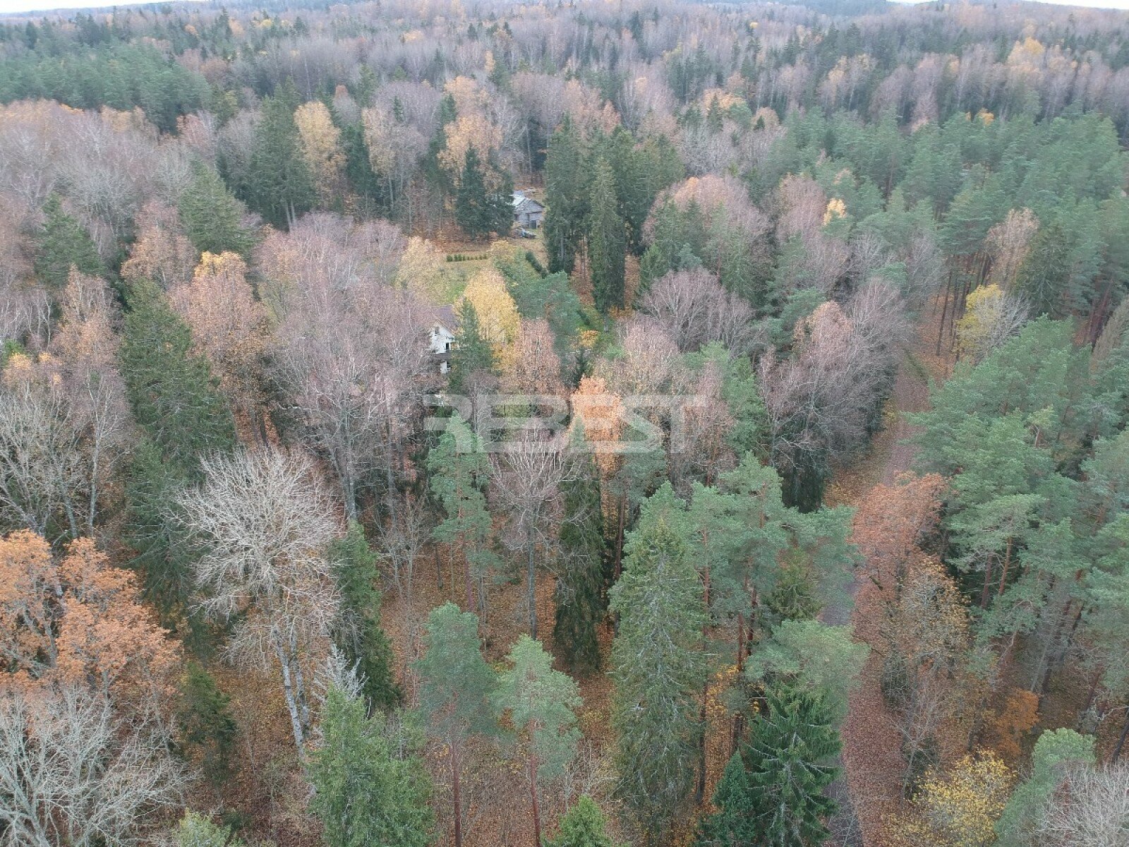 Участок Šiaulių rajono sav., Bubiuose – изображение 5