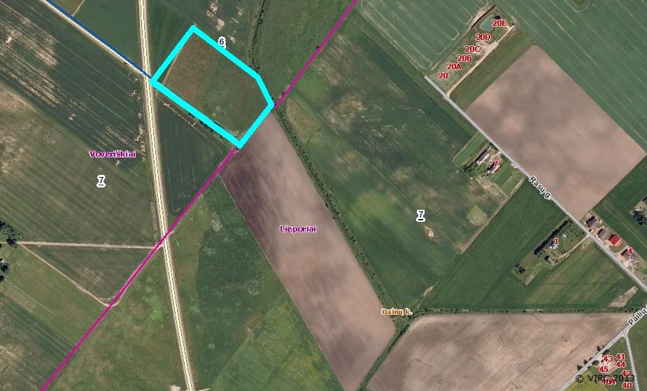 Sklypas Šiaulių rajono sav., Daušiškiuose – nuotrauka 6