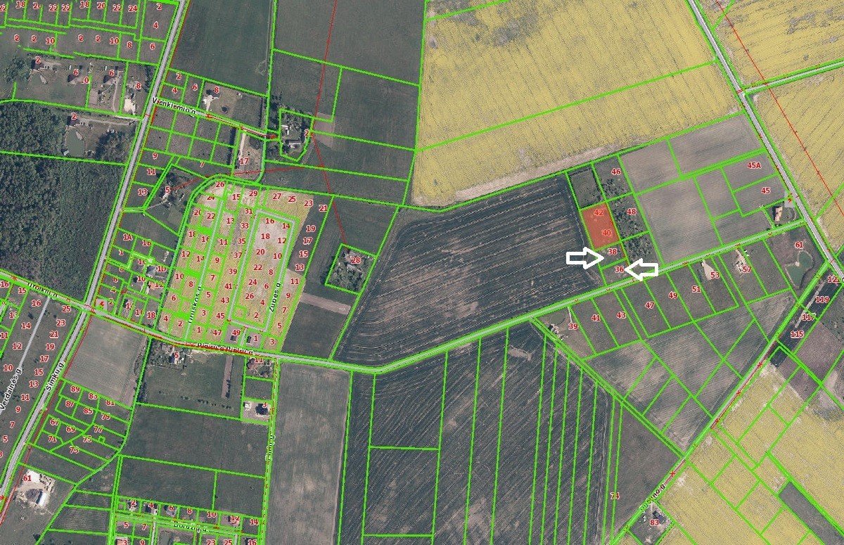 Listing image