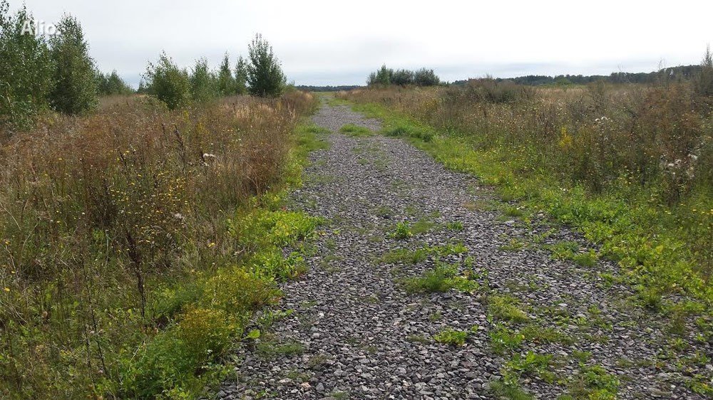 Участок Klaipėdos rajono sav., Šimkuose, Pipirų g. – изображение 5