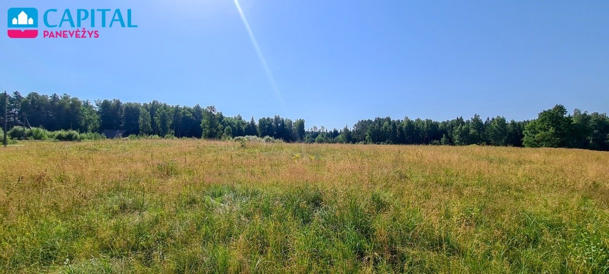 Sklypas Vilniaus rajono sav., Arvyduose – nuotrauka 6