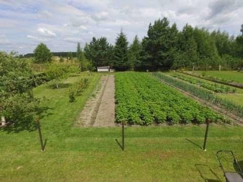 Sklypas Panevėžio rajono sav., Mitkuose – nuotrauka 3