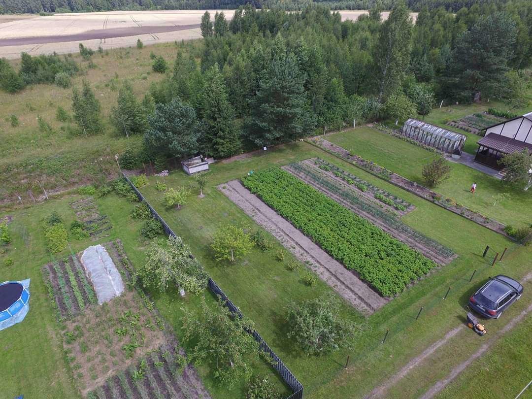 Sklypas Panevėžio rajono sav., Mitkuose – nuotrauka 4