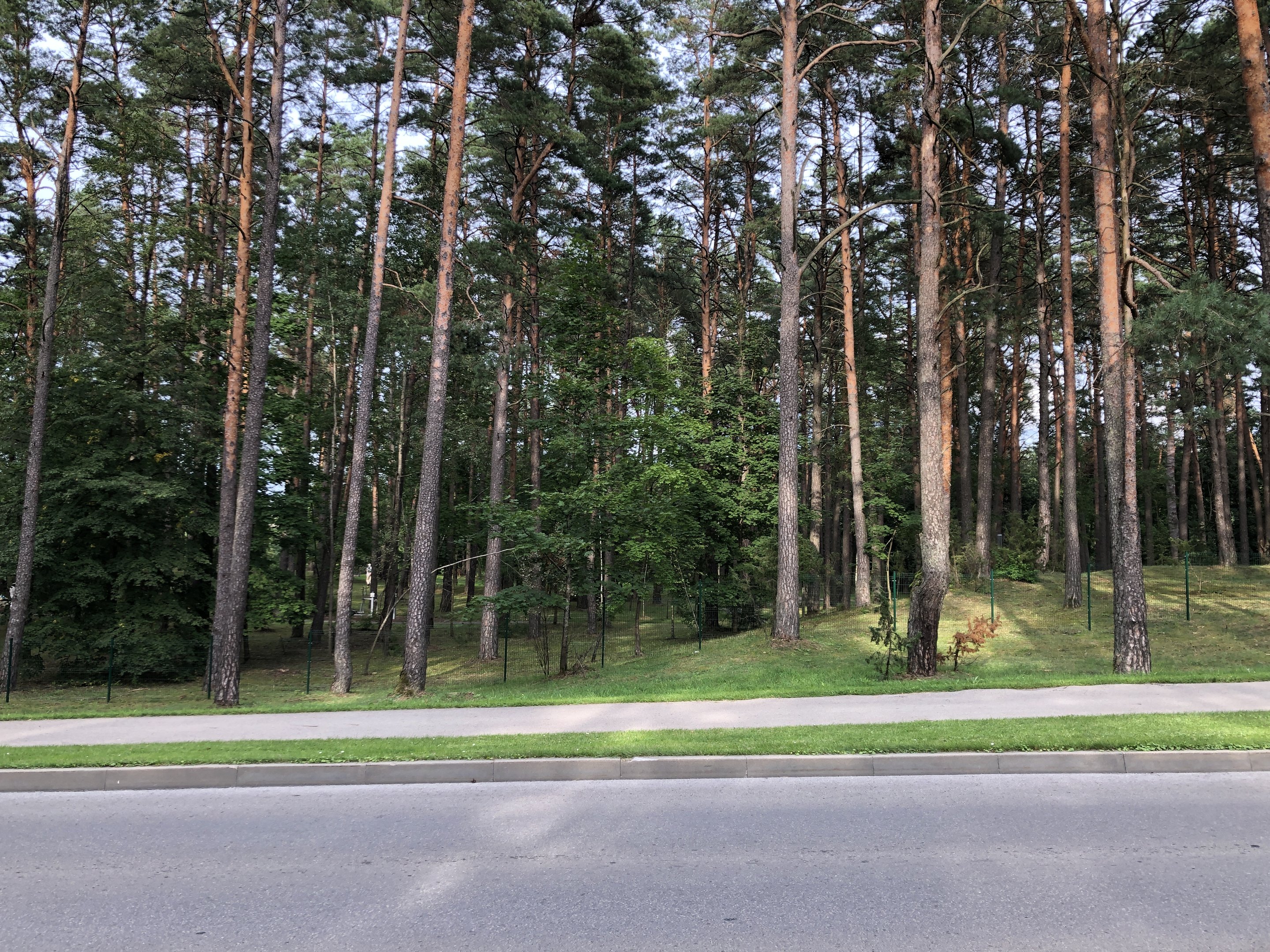 Участок Druskininkų sav., Druskininkuose, Gardino g. – изображение 6