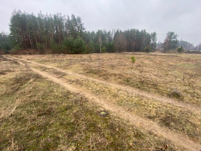 Участок Druskininkų sav., Viečiūnuose, Senųjų Viečiūnų g. – изображение 4