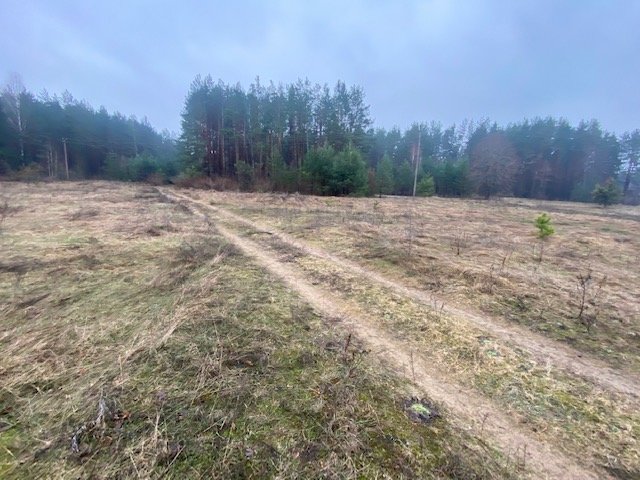 Участок Druskininkų sav., Viečiūnuose, Senųjų Viečiūnų g. – изображение 5