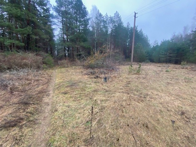 Участок Druskininkų sav., Viečiūnuose, Senųjų Viečiūnų g. – изображение 6