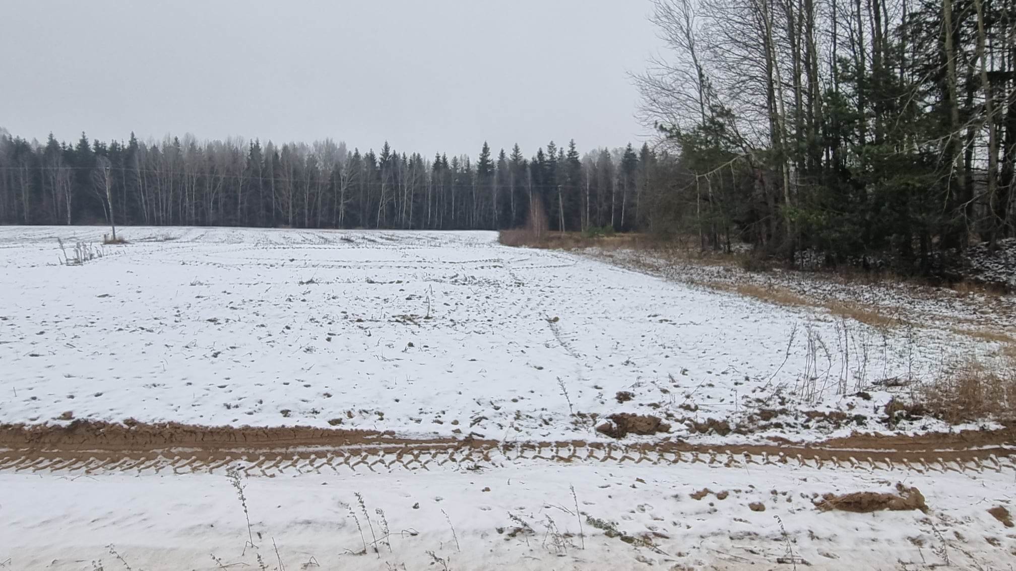 Sklypas Kauno rajono sav., Girininkai I, Pabartupio g. – nuotrauka 3