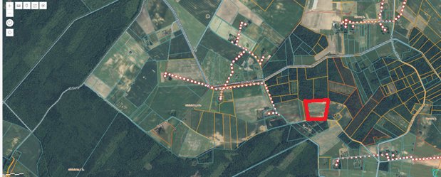 Sklypas Kauno rajono sav., Girininkai I, Pabartupio g. – nuotrauka 5
