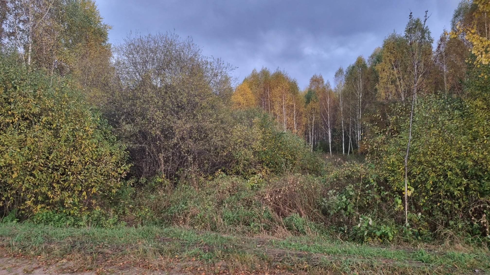 Sklypas Kauno rajono sav., Krušinskuose – nuotrauka 6