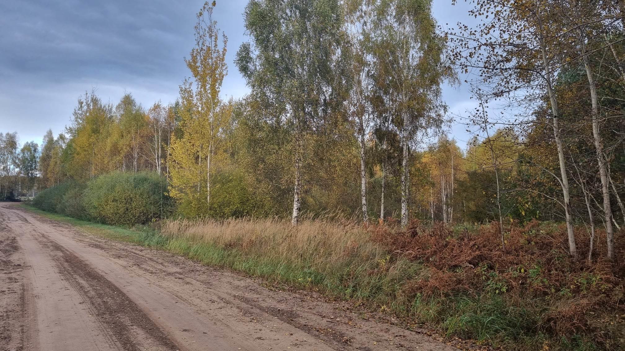 Sklypas Kauno rajono sav., Krušinskuose – nuotrauka 4