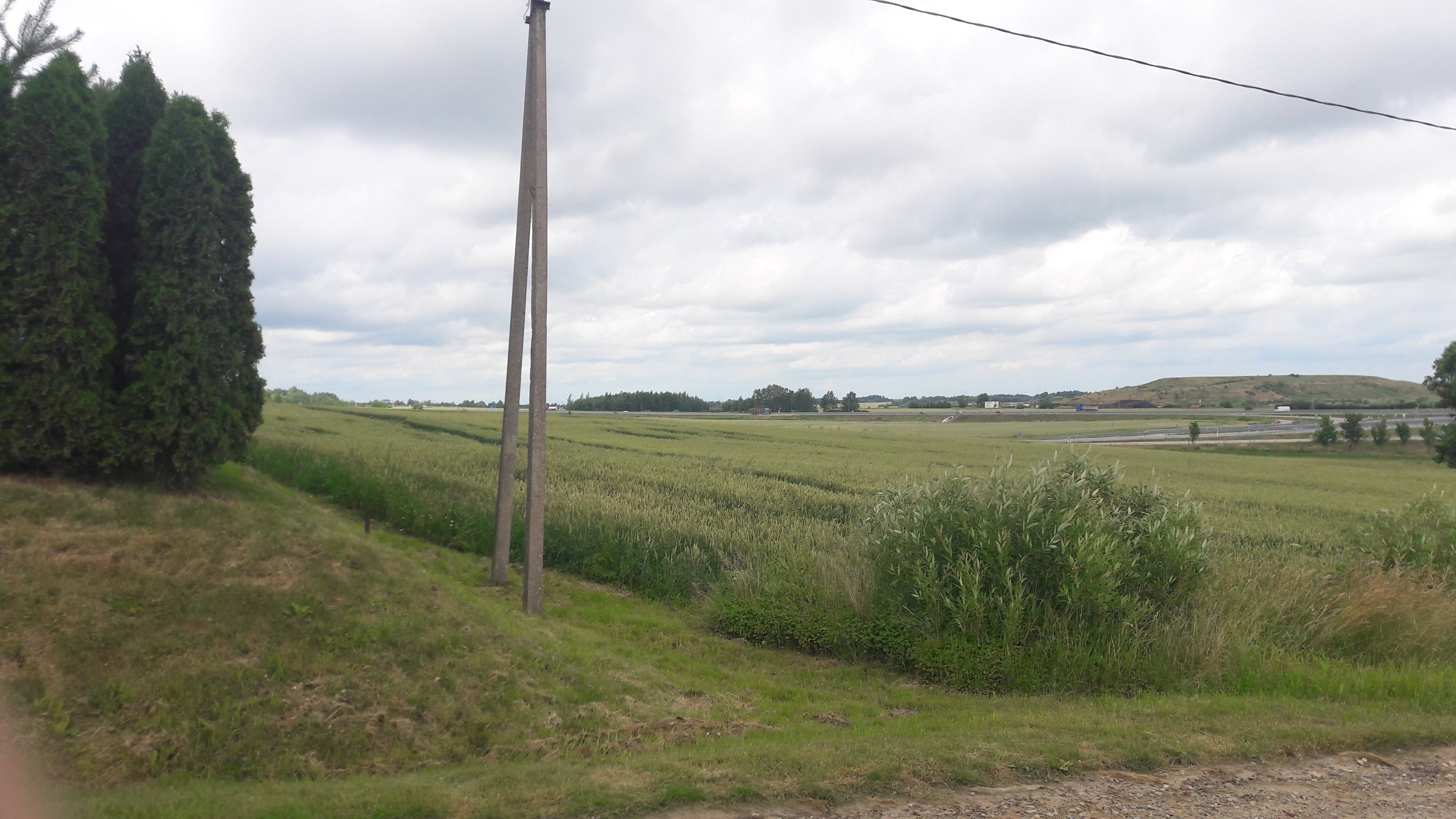Sklypas Šiaulių rajono sav., Bertužiuose, Atžalyno g. – nuotrauka 4