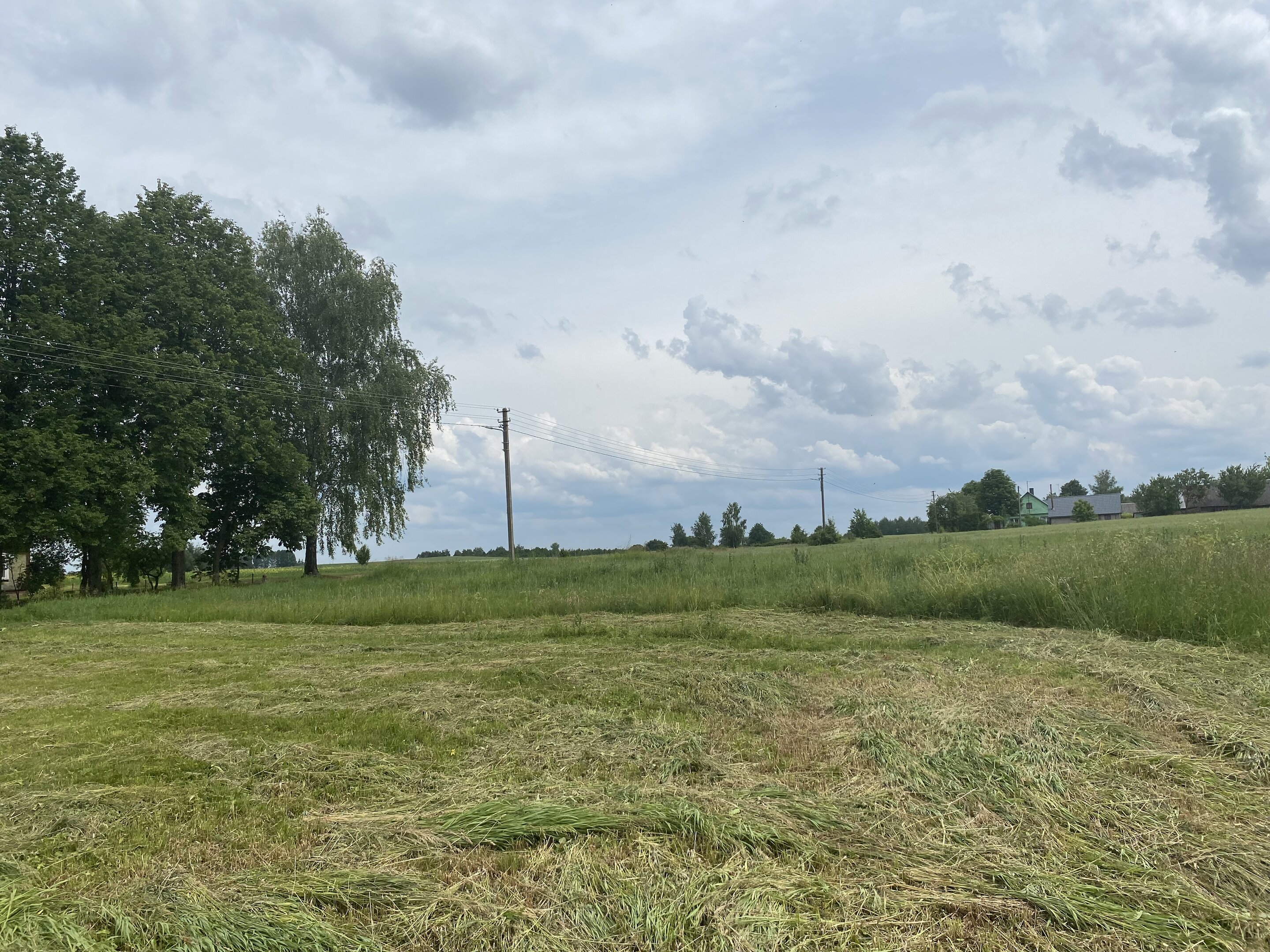 Sklypas Druskininkų sav., Jovaišiuose, Jovaišių g. – nuotrauka 4