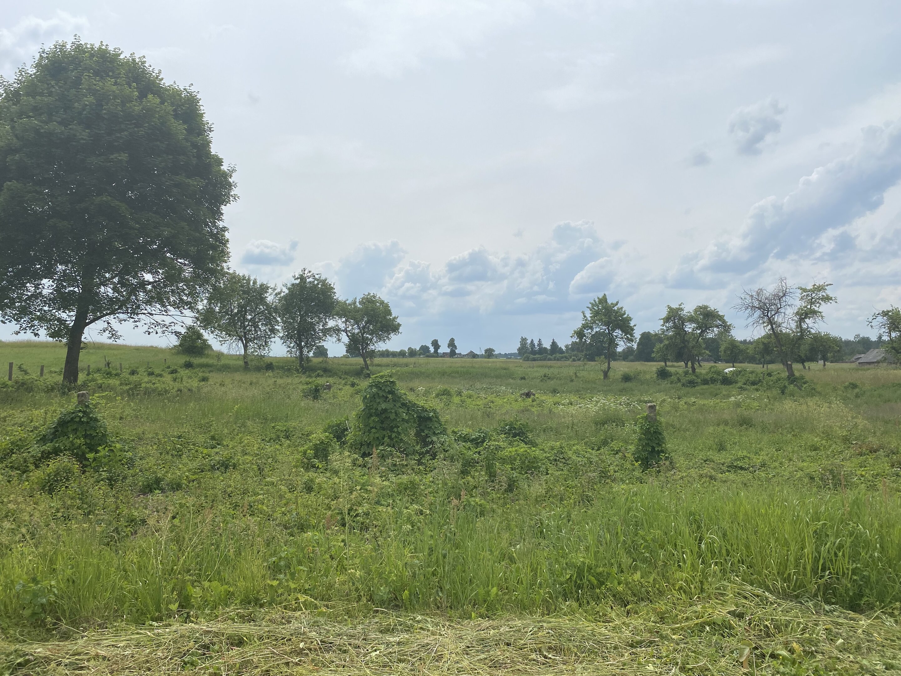 Sklypas Druskininkų sav., Jovaišiuose, Jovaišių g. – nuotrauka 3