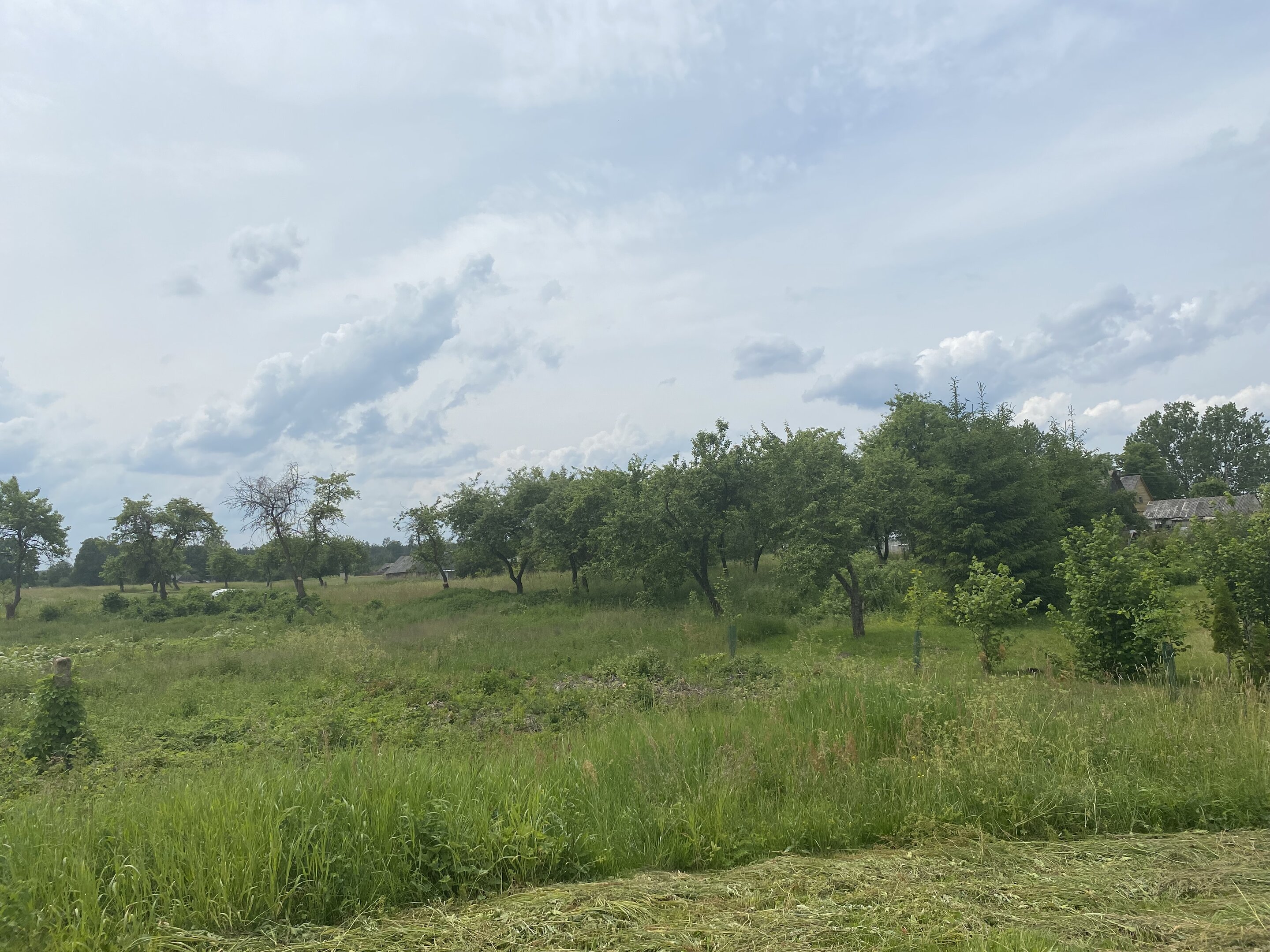 Sklypas Druskininkų sav., Jovaišiuose, Jovaišių g. – nuotrauka 5
