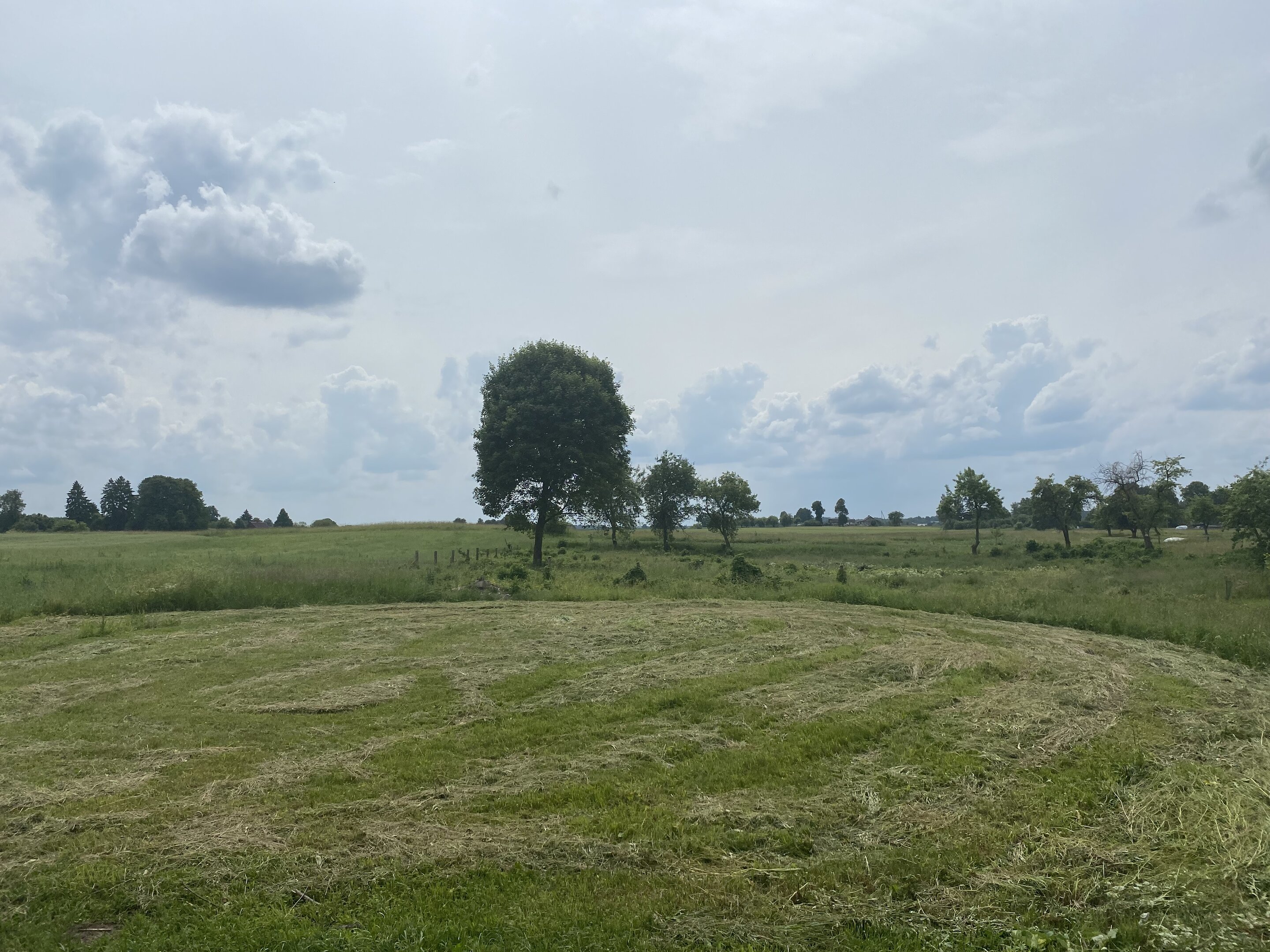 Sklypas Druskininkų sav., Jovaišiuose, Jovaišių g. – nuotrauka 6
