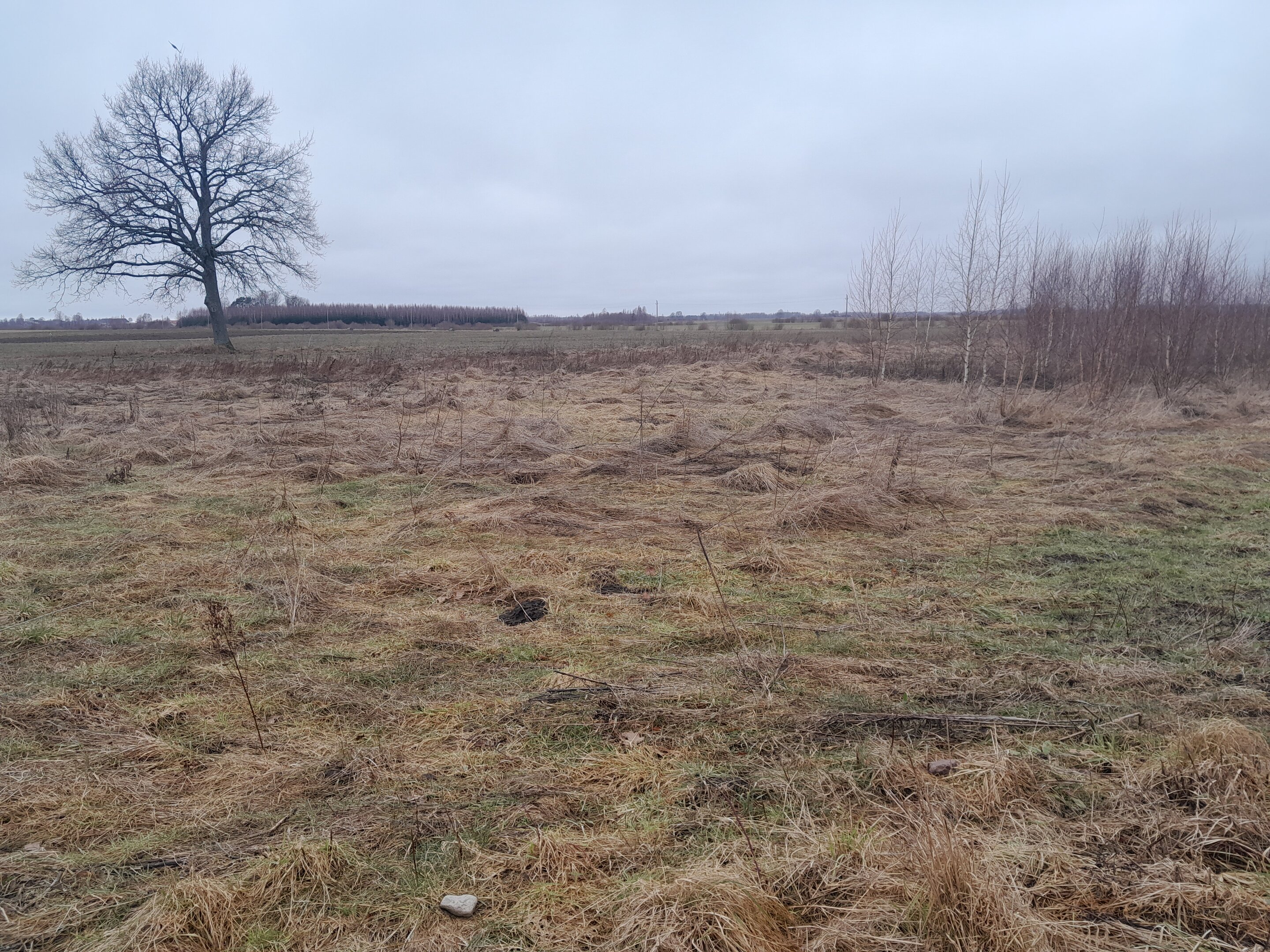 Sklypas Klaipėdos rajono sav., Dreižiuose, Lanko g. – nuotrauka 4