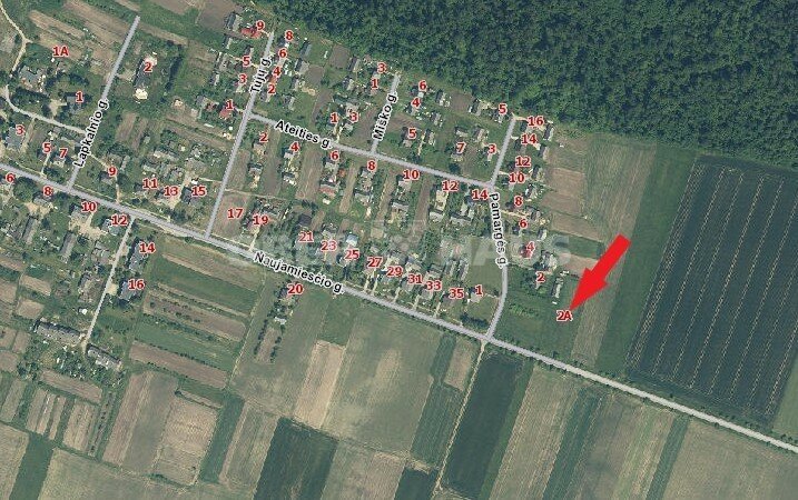 Sklypas Panevėžio rajono sav., Liberiškyje – nuotrauka 2