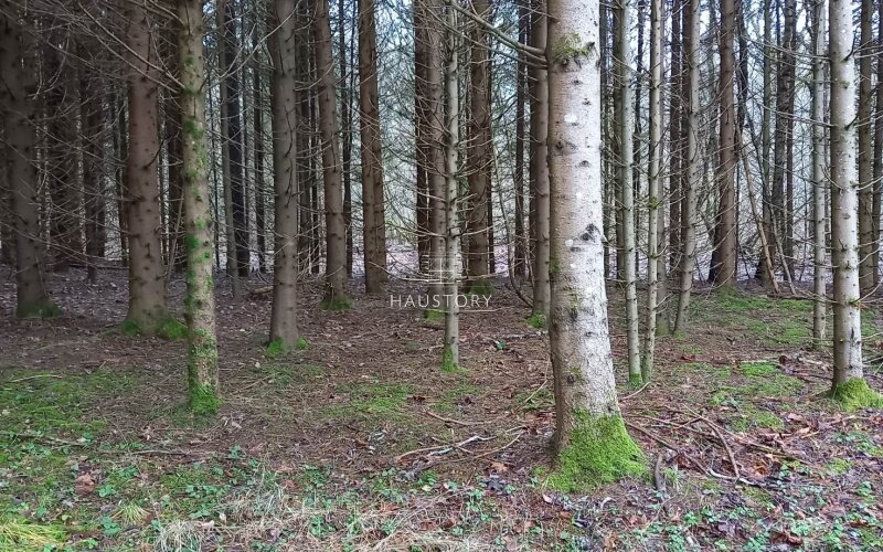 Sklypas Klaipėdos rajono sav., Pažvelsyje – nuotrauka 4
