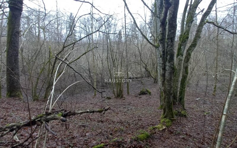 Sklypas Klaipėdos rajono sav., Pažvelsyje – nuotrauka 5
