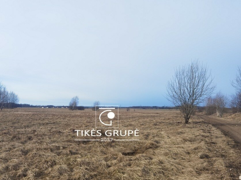 Sklypas Klaipėdos rajono sav., Rusliuose, Upėtakių g. – nuotrauka 4