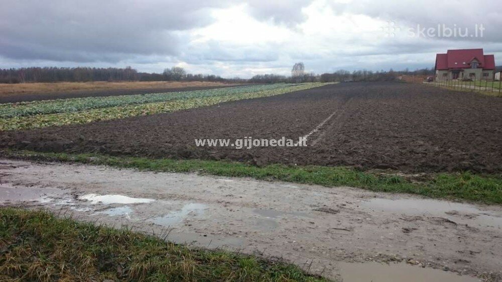 Sklypas Klaipėdos rajono sav., Gargžduose, Kretingos Plento g. – nuotrauka 5