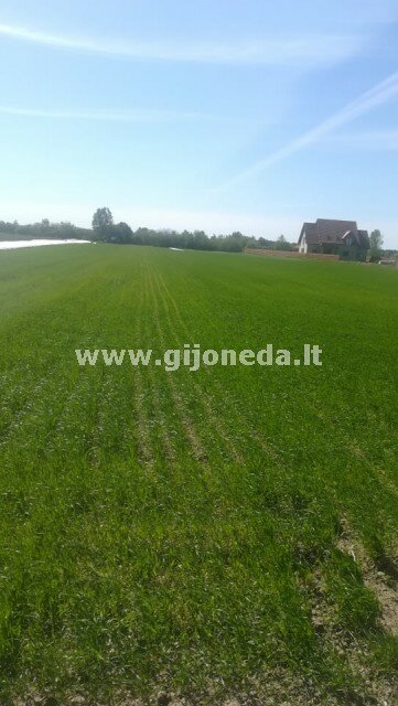 Sklypas Klaipėdos rajono sav., Gargžduose, Kretingos Plento g. – nuotrauka 6