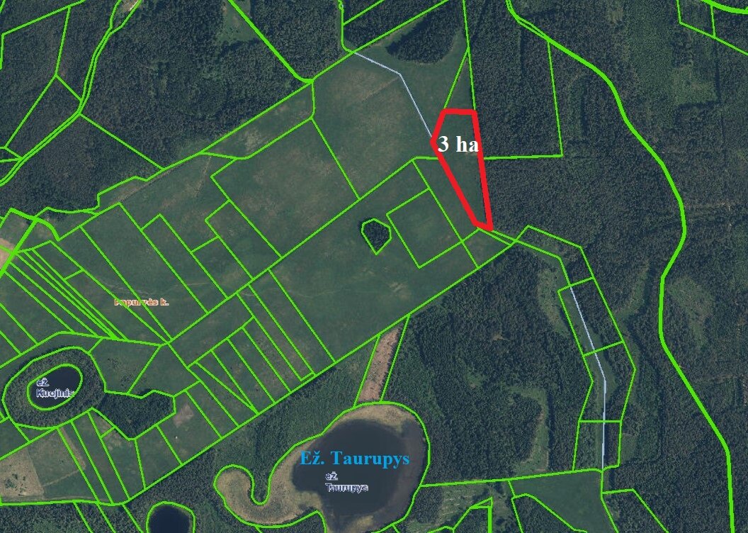 Sklypas Molėtų rajono sav., Napriūnuose – nuotrauka 2