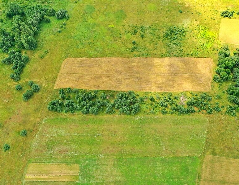 Sklypas Vilniaus rajono sav., Pučkalaukyje – nuotrauka 3