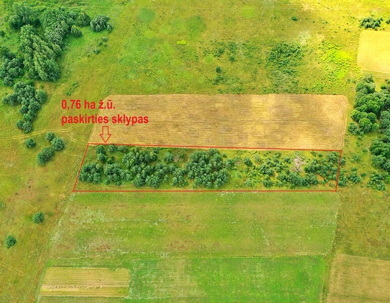 Sklypas Vilniaus rajono sav., Pučkalaukyje – nuotrauka 4