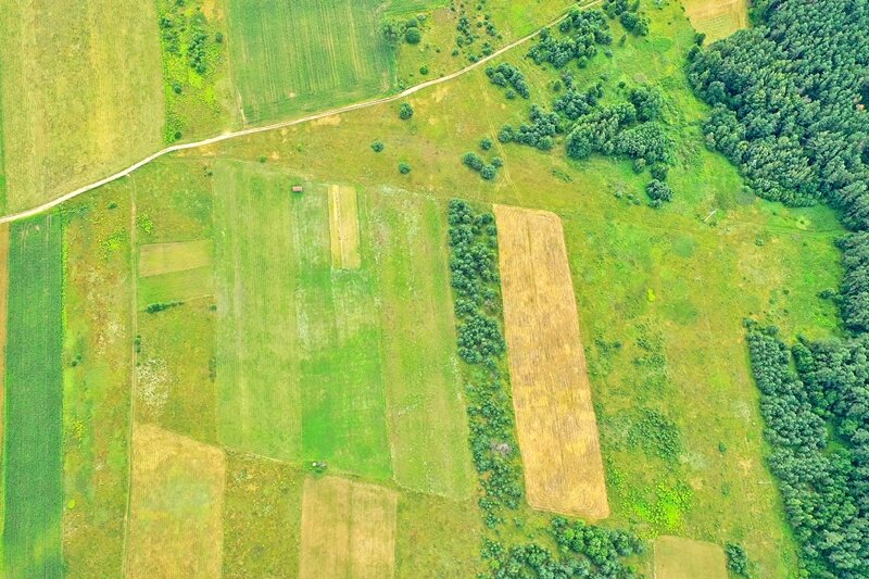 Sklypas Vilniaus rajono sav., Pučkalaukyje – nuotrauka 6