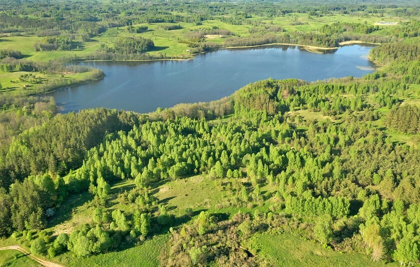 Sklypas Zarasų rajono sav., Saliniuose – nuotrauka 4