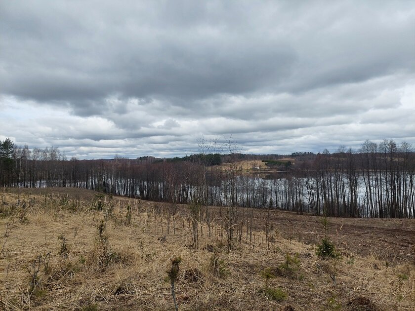 Sklypas Zarasų rajono sav., Saliniuose – nuotrauka 6