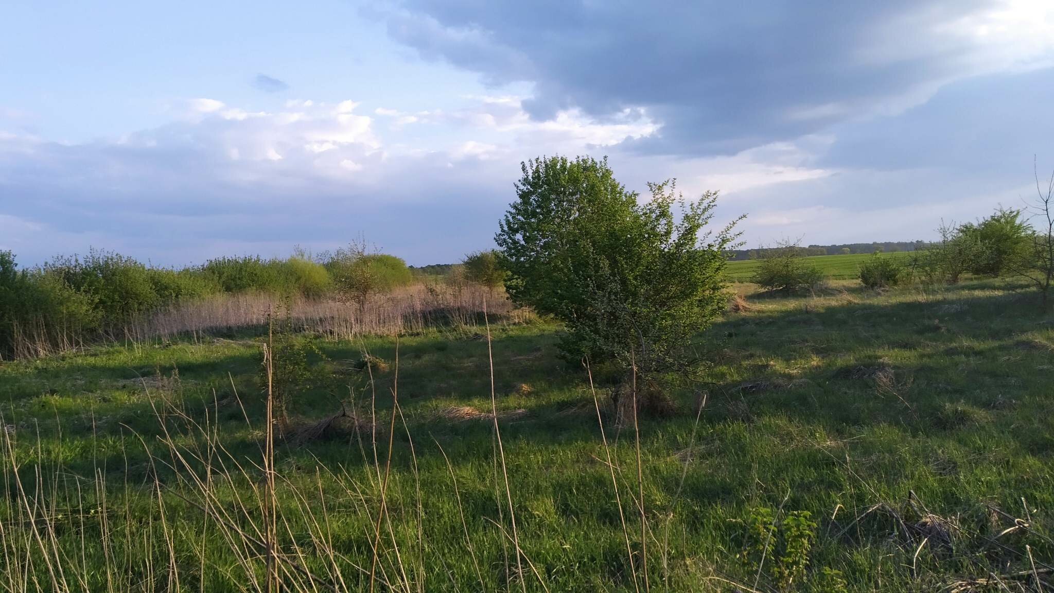 Sklypas Radviliškio rajono sav., Jadvimpolyje – nuotrauka 4