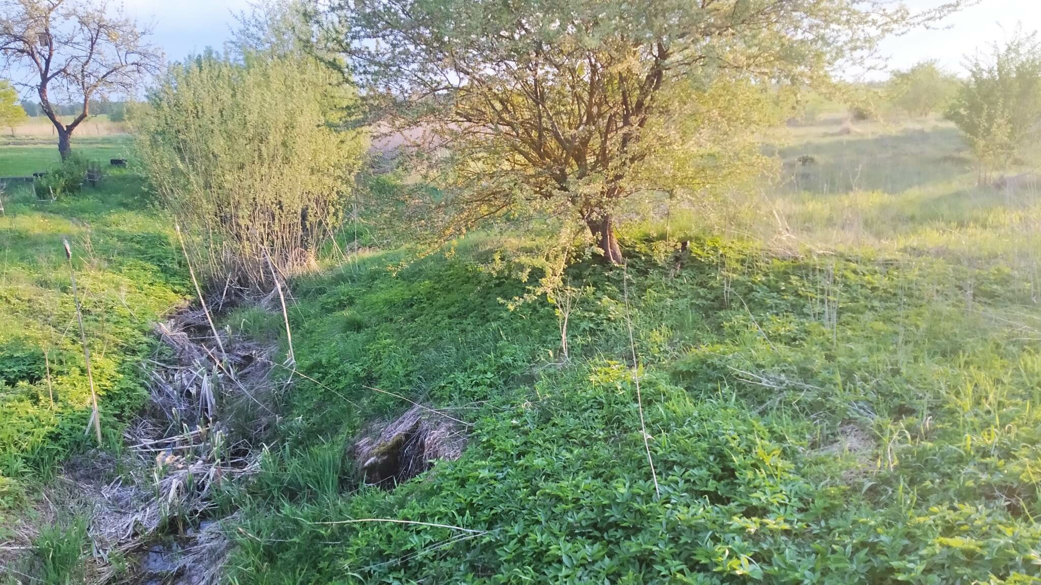 Sklypas Radviliškio rajono sav., Jadvimpolyje – nuotrauka 6