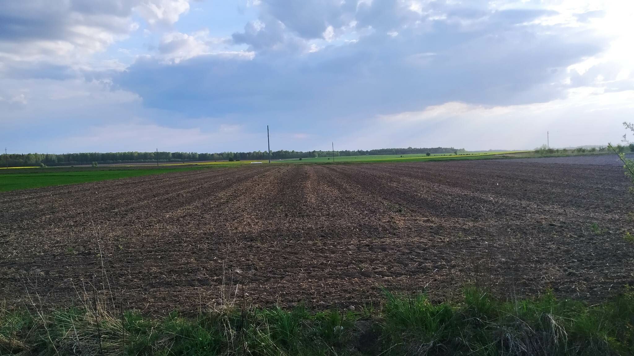 Sklypas Radviliškio rajono sav., Baisogaloje – nuotrauka 3