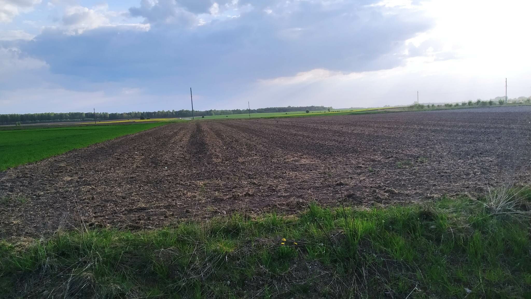 Sklypas Radviliškio rajono sav., Baisogaloje – nuotrauka 4