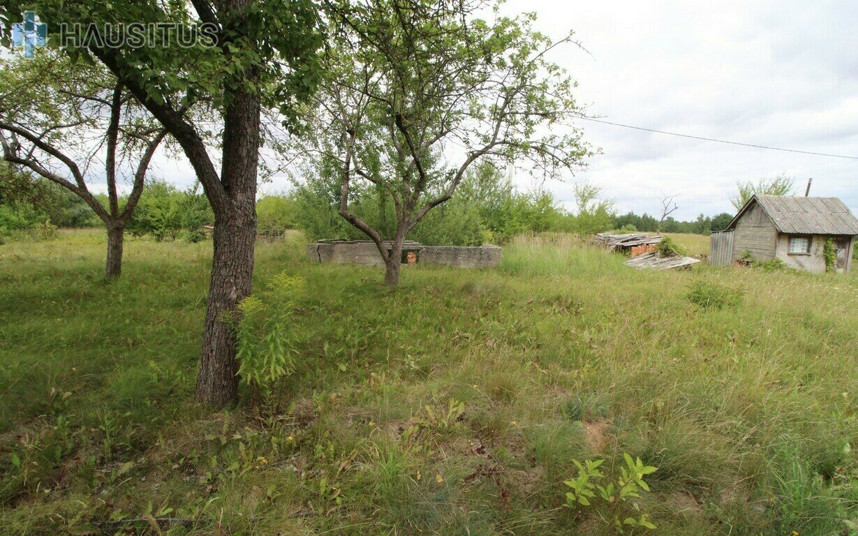 Участок Panevėžio rajono sav. – изображение 5