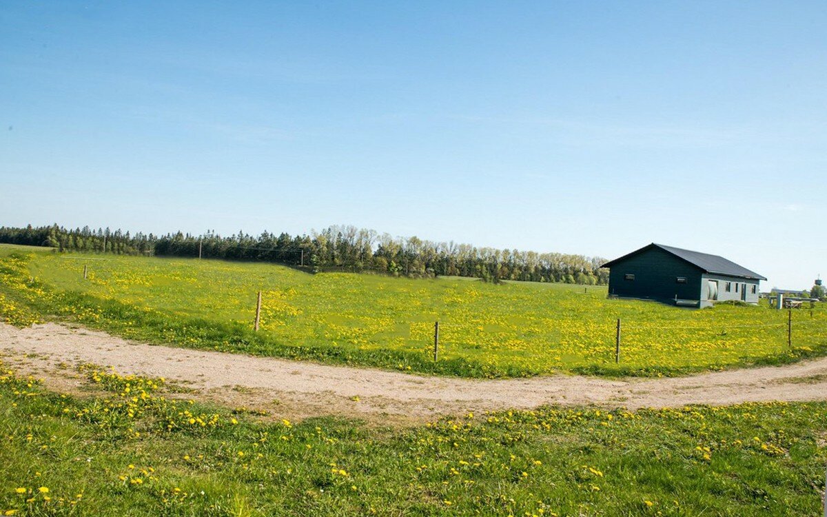 Sklypas Rietavo sav., Rietave, Atgimimo g. – nuotrauka 3